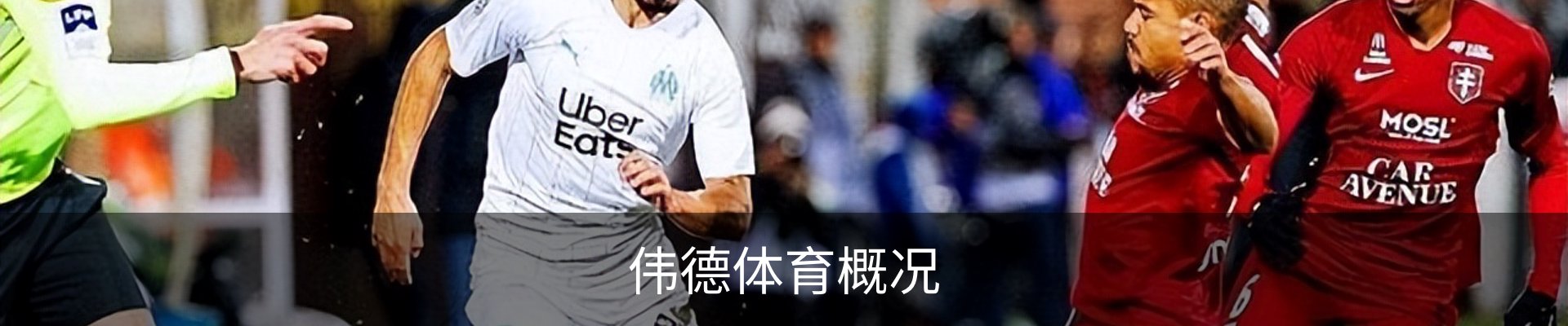 伟德体育概况