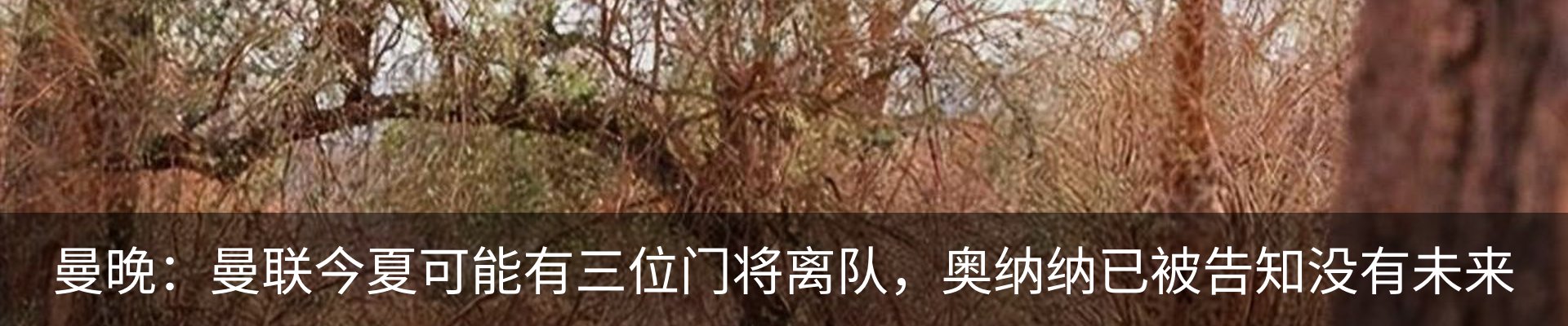 资讯动态